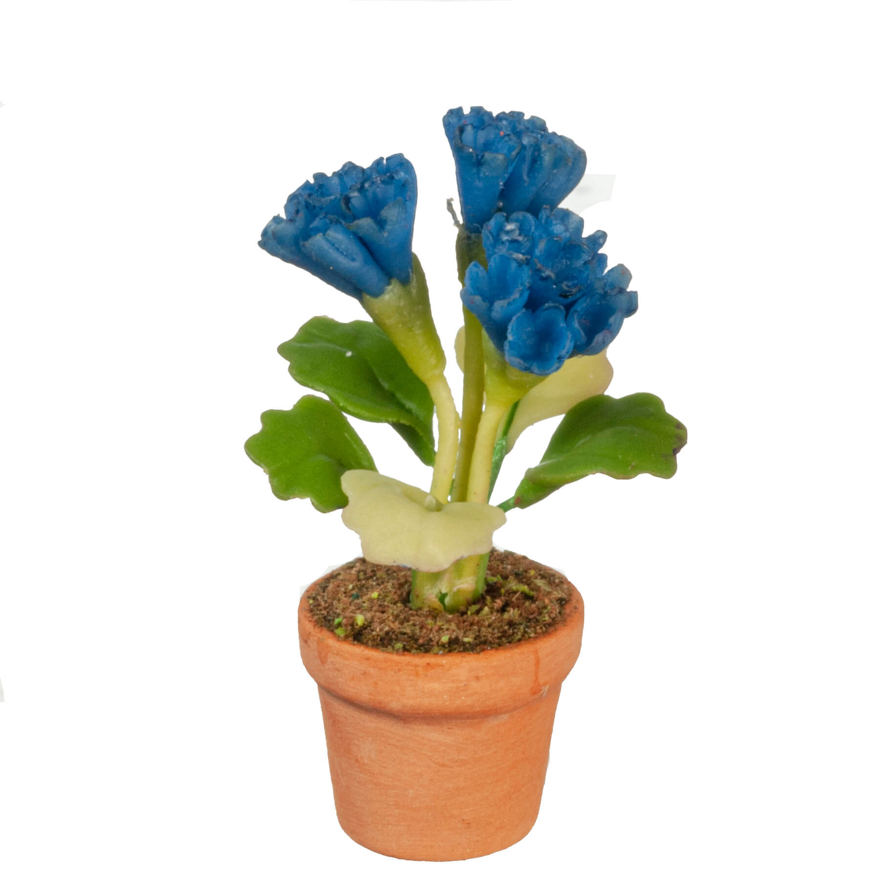 Potted Flowers - Blue