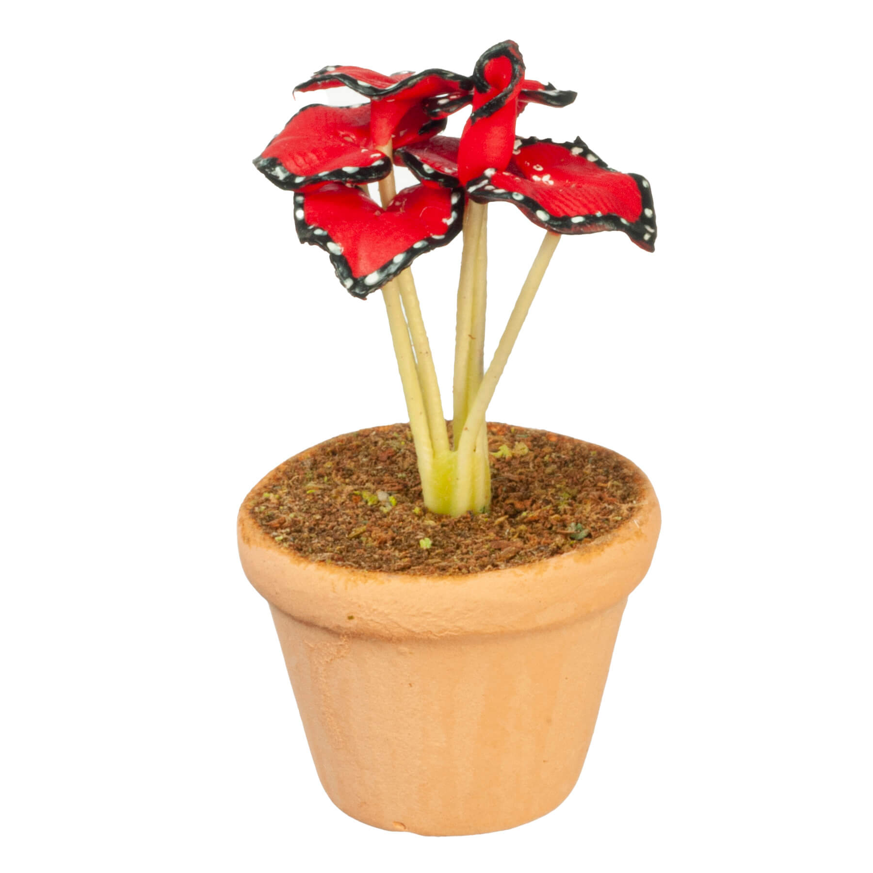 Potted Tropical House Plant - Red