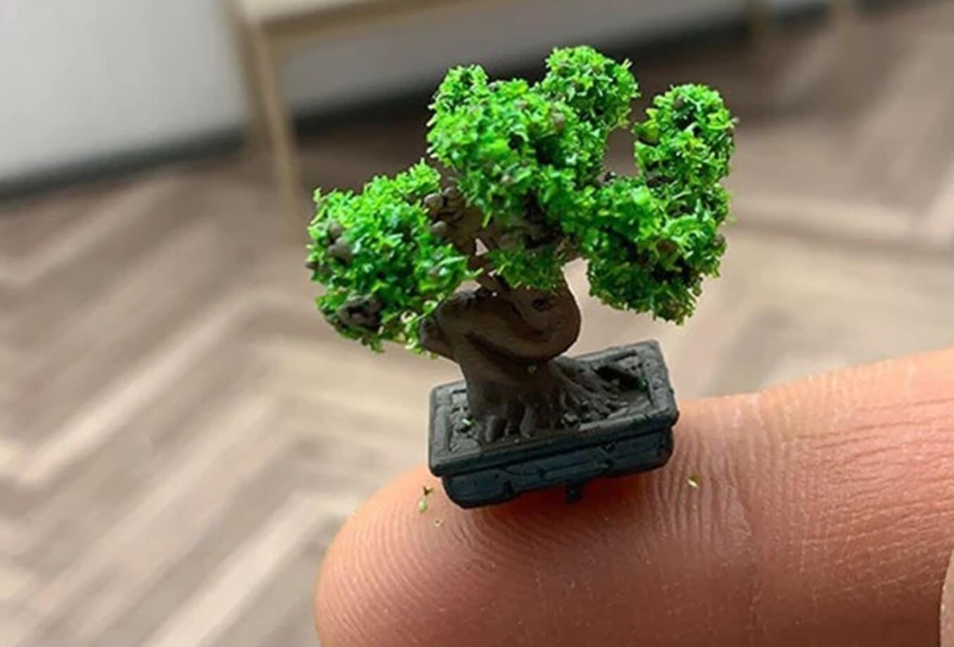 Small Bonsai Pine Tree